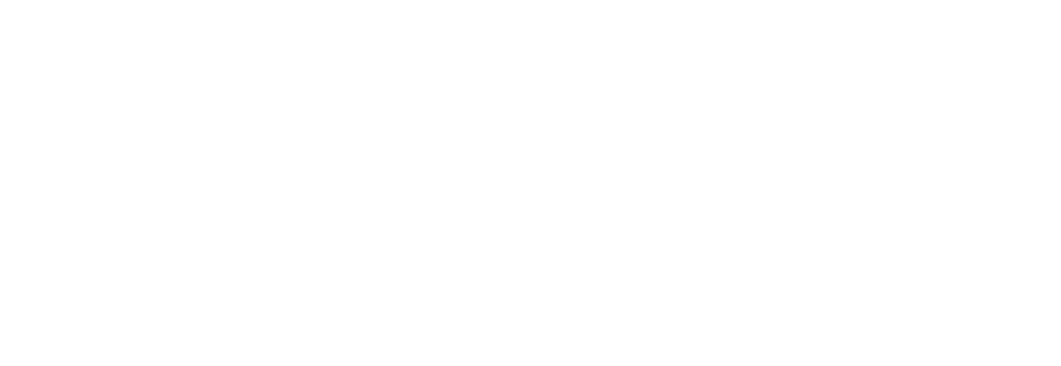 logo exclusive networks